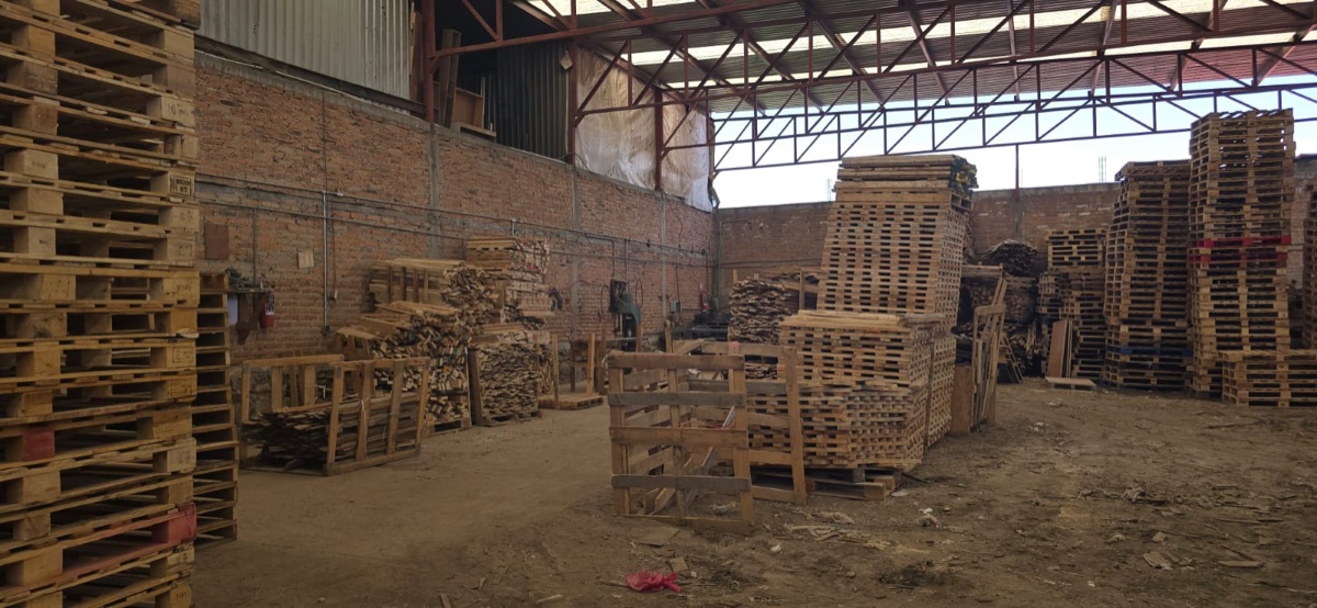 Armado de tarimas de pino en la planta de Tarimas Guadalajara en Tlaquepaque
